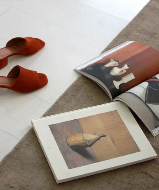 FW 24/25 Women’s Trends Program